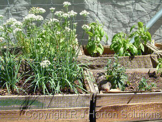 Herb boxes_2